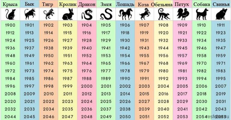 Что китайский знак Зодиака может рассказать о вашей личности?2