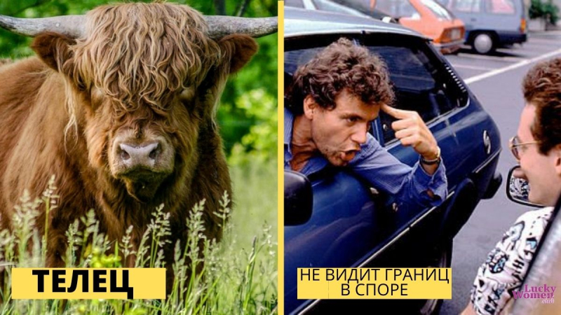 Обида знаков Зодиака: как обижаются знаки по мнению астрологов?0