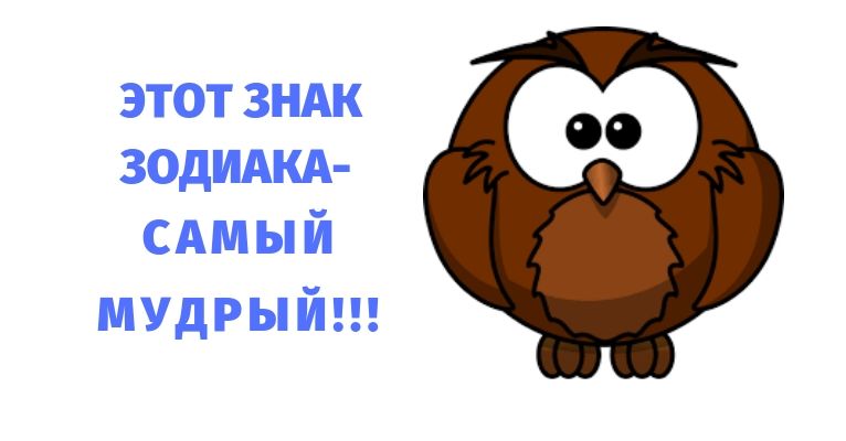Самый мудрый знак зодиака0
