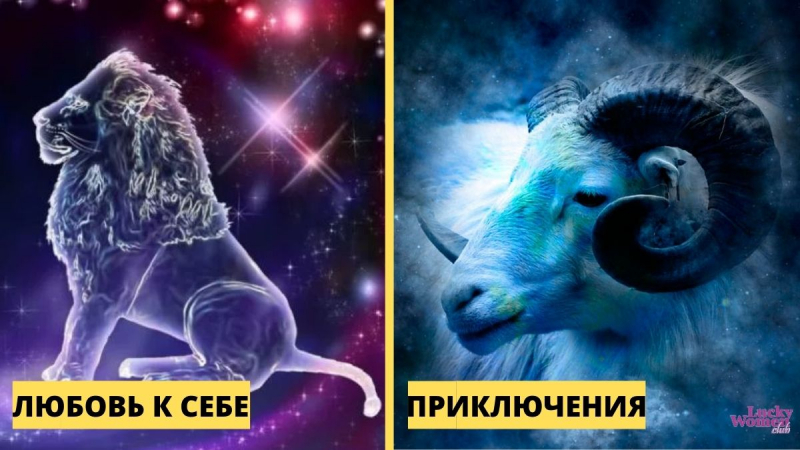 В чем предназначение каждого знака Зодиака?0